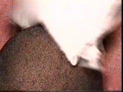 'Veronica Waters - Bald & Balled 2' screenshot nº 85