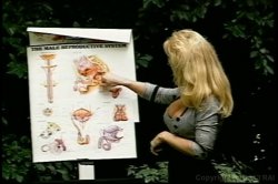 'Nina Hartley's Guide to Anal Sex' screenshot nº 12