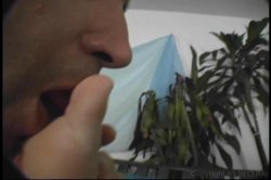 'Rodney Moore's Goo Girls 2' screenshot nº 49