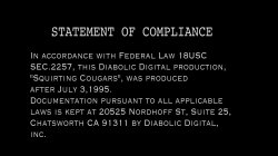 'Squirting Cougars' screenshot nº 1