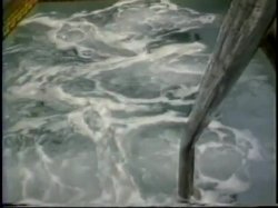 'Bubble Butts 5' screenshot nº 52