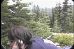 Captura de 'Horny Hairy Girls 2' nº 7