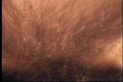 Captura de 'Horny Hairy Girls 2' nº 123