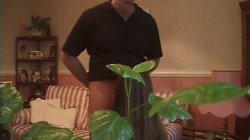 Captura de 'Blowjob XXX Stars 16' nº 83