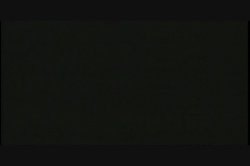 'Paintball Babes' screenshot nº 5