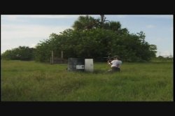 'Paintball Babes' screenshot nº 52