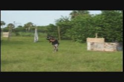 'Paintball Babes' screenshot nº 54