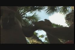 'Paintball Babes' screenshot nº 33
