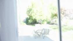 Captura de 'Perfectly Trimmed Bush 6' nº 61