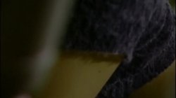 Captura de 'Suck Cocks Licks Clits 2' nº 75