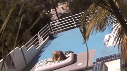 Captura de 'Suck Cocks Licks Clits 2' nº 109