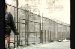 Captura de 'Anal Vision 11' nº 67
