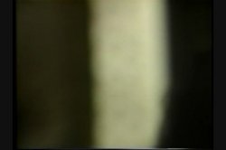 Captura de 'Anal Vision 11' nº 109