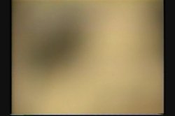 Captura de 'Anal Vision 11' nº 33