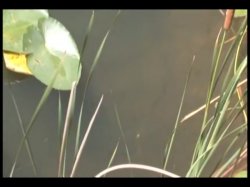 'My Huge Holes 11' screenshot nº 53