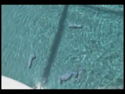 'My Huge Holes 11' screenshot nº 98