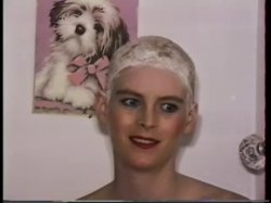'Stevi's Close Shave' screenshot nº 40