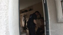 'Big Titty MILFS 17' screenshot nº 44