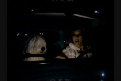 'Charli' screenshot nº 110