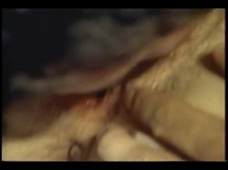 'Erotic World of Cody Nicole, The' screenshot nº 67