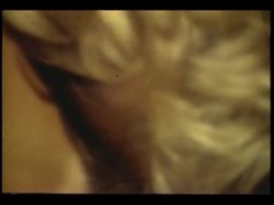 'Erotic World of Cody Nicole, The' screenshot nº 80