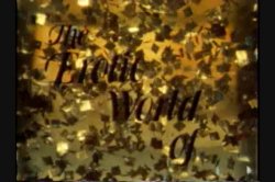 Captura de 'Erotic World Of Crystal Dawn' nº 2