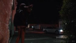 Captura de 'Transsexual Prostitutes 70' nº 75