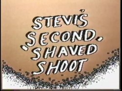 'Stevi's Second Shaved Shoot' screenshot nº 1