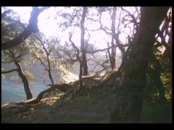 Captura de 'Legend of Lady Blue' nº 3