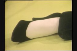 'Erotic World of Candy Shields' screenshot nº 1