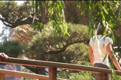 Captura de 'Double Up' nº 30