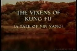 Captura de 'Vixens Of Kung Fu' nº 2