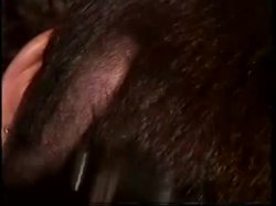'How Short Do You Want It' screenshot nº 65