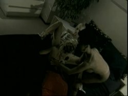 Captura de '5 Star Nikki Tyler' nº 39
