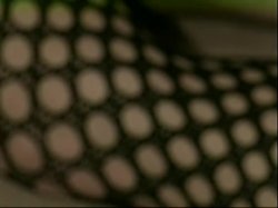 Captura de '5 Star Nikki Tyler' nº 98