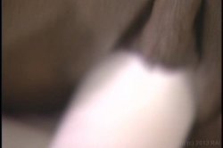 Captura de 'Gang O' Girlz 3' nº 71