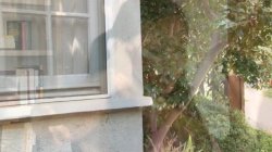Captura de 'My New White Stepdaddy 4' nº 80
