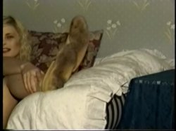'Moccasin Tease' screenshot nº 115