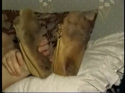 'Moccasin Tease' screenshot nº 42