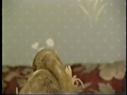 'Moccasin Tease' screenshot nº 54