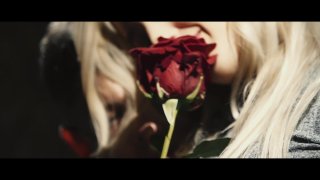 Night Rose