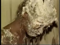 Captura de 'Porn Stars Pied' nº 76