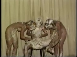 Captura de 'Porn Stars Pied' nº 126
