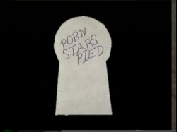 Captura de 'Porn Stars Pied' nº 4
