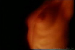 'Teenage Surfer Girls' screenshot nº 125
