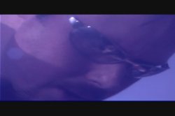Captura de 'Blue Erotica' nº 26