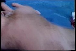 'Girl Scouting' screenshot nº 133