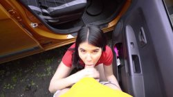 'Fake Driving School Volume 11' screenshot nº 25