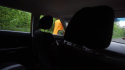 'Fake Driving School Volume 11' screenshot nº 6