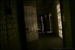 'Lexie and Monique Love Rocco' screenshot nº 68